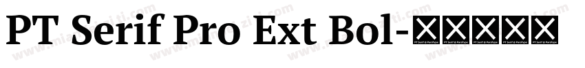 PT Serif Pro Ext Bol字体转换